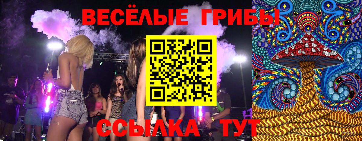 Верхняя Салда  Псилоцибиновые грибы Psilocybe  Галлюциногенные грибы Magic Shrooms  Вход с VPN 